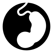 妊娠・妊活のアイコン