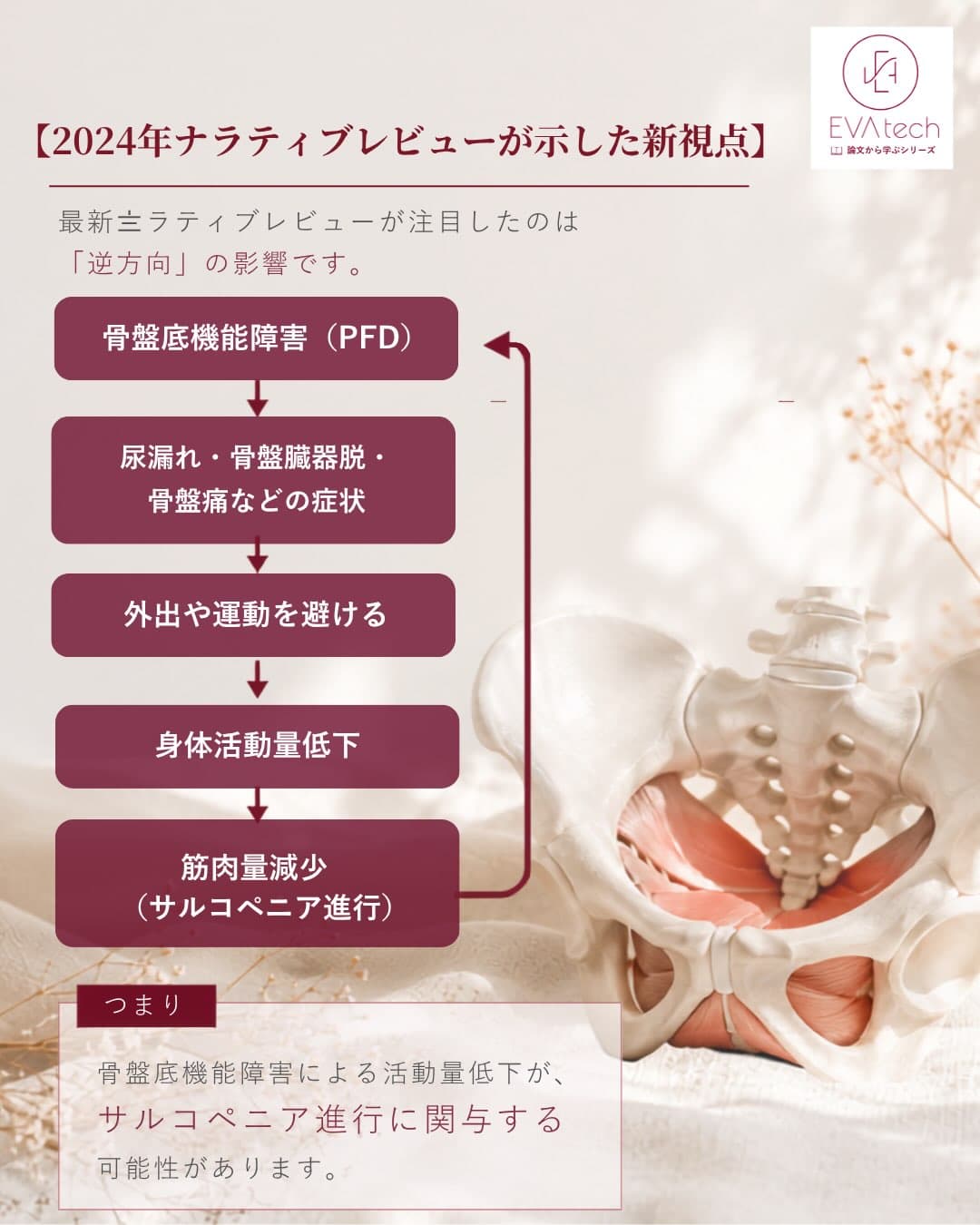 骨盤底機能障害（PFD）の症状から活動回避、身体活動量低下、サルコペニアへ至る流れを示す図解